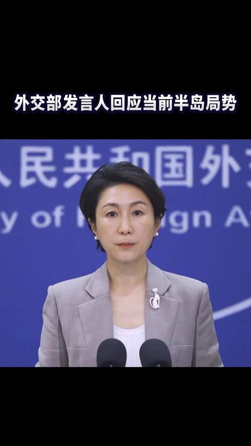 华春莹告别外交部发言人职务，外交风采新篇章开启