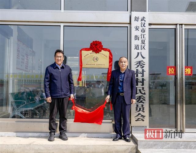 湖北武汉：国企联村发展新机遇，精准对接市场需求推动乡村振兴